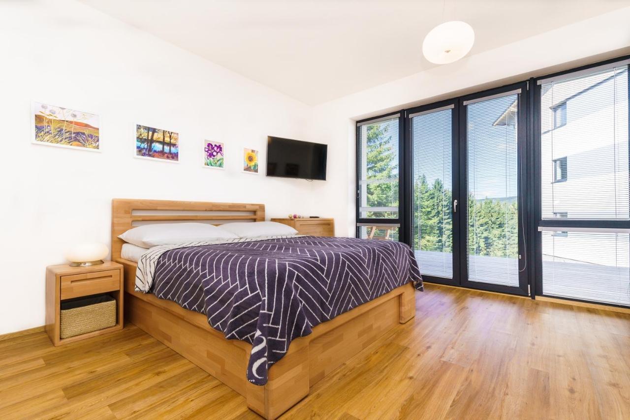 Horsky Apartman Temari 6 Klinovec Loucna pod Klinovcem Exterior photo